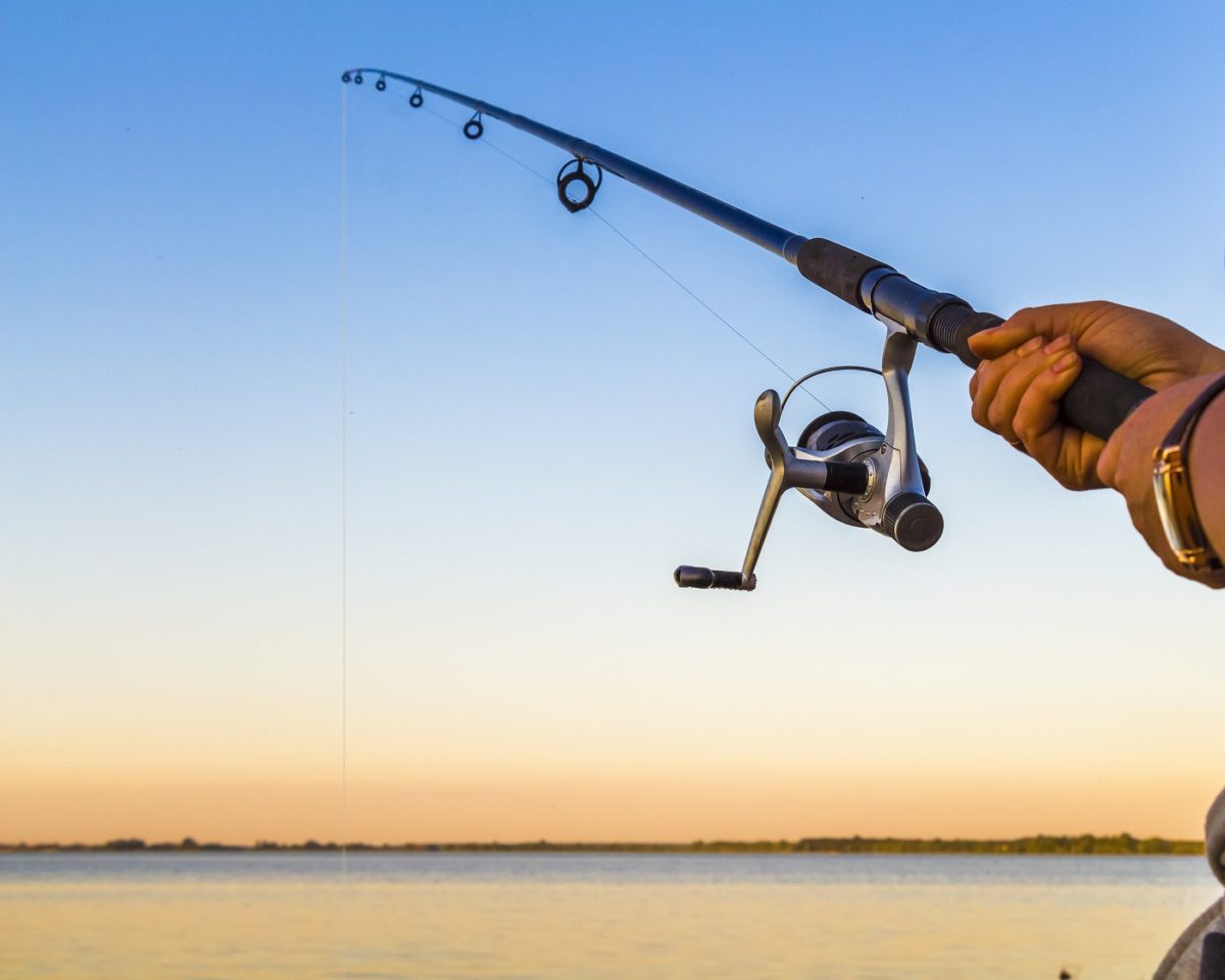 Canne à pêche carnassier : comment faire le bon choix ?